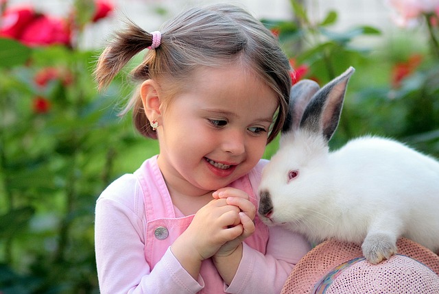 dívka a králík